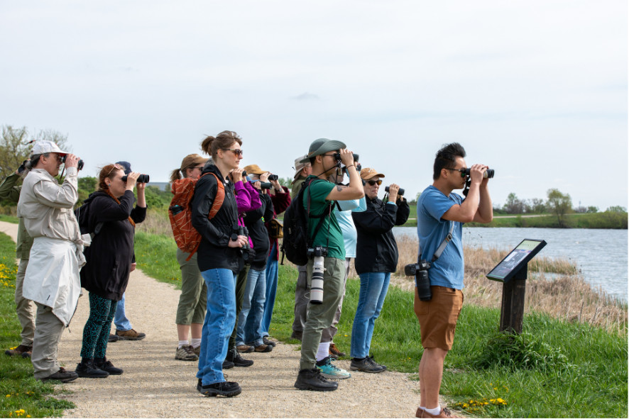 people birding next to a body of water