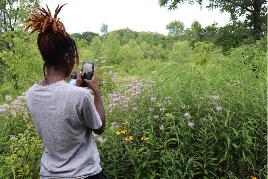 person taking a photo of wildflowers with their phone