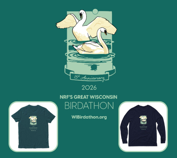 graphic of red-headed woodpecker with an acorn in it's beak, a black hoodie with the same graphic printed on it and a grey t-shirt with same graphic printed on it and text that reads 2025 Great Wisconsin Birdathon WIBirdathon.org