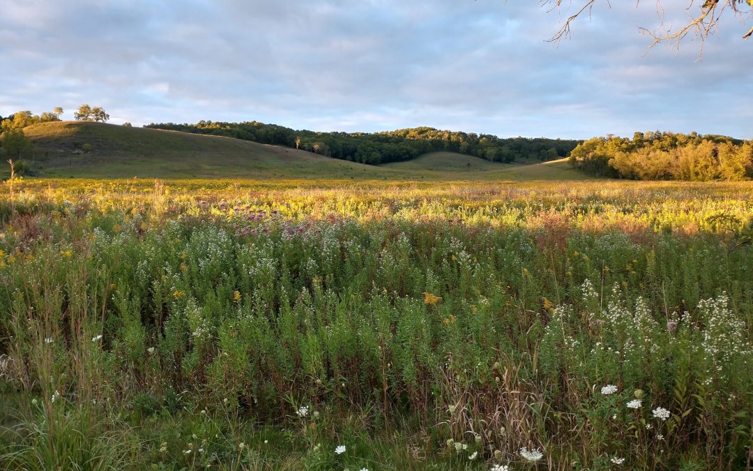 Explore, Love, Protect: NRF’s 2023 Grants for Conservation and Environmental Education