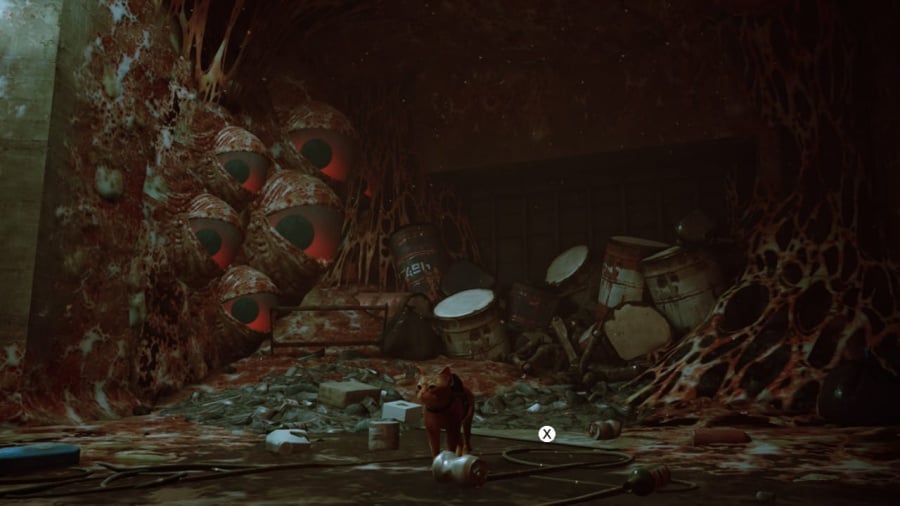 Stray Review - Screenshot 1 of 4