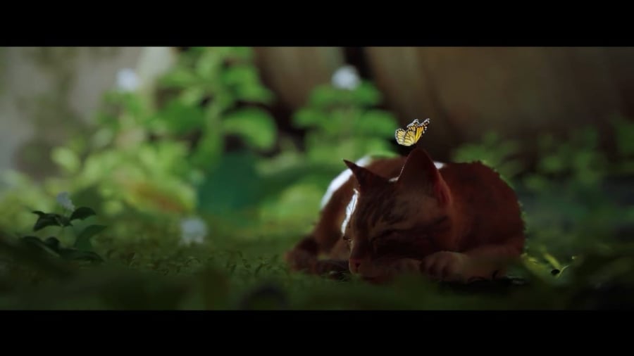 Stray Review - Screenshot 2 of 4