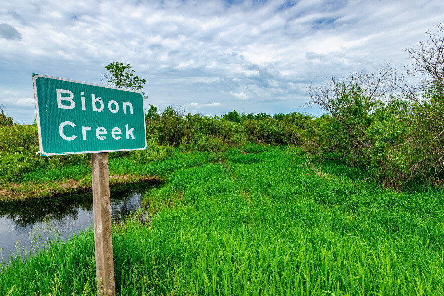 a sign that reads 'Bibon Creek' along a creek in Bibon Swamp State Natural Area