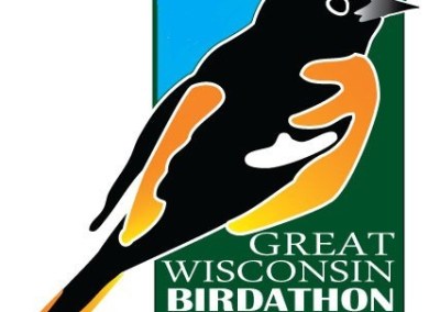 graphic of a bird with text that says Great Wisconsin Birdathon WiBirdathon.org