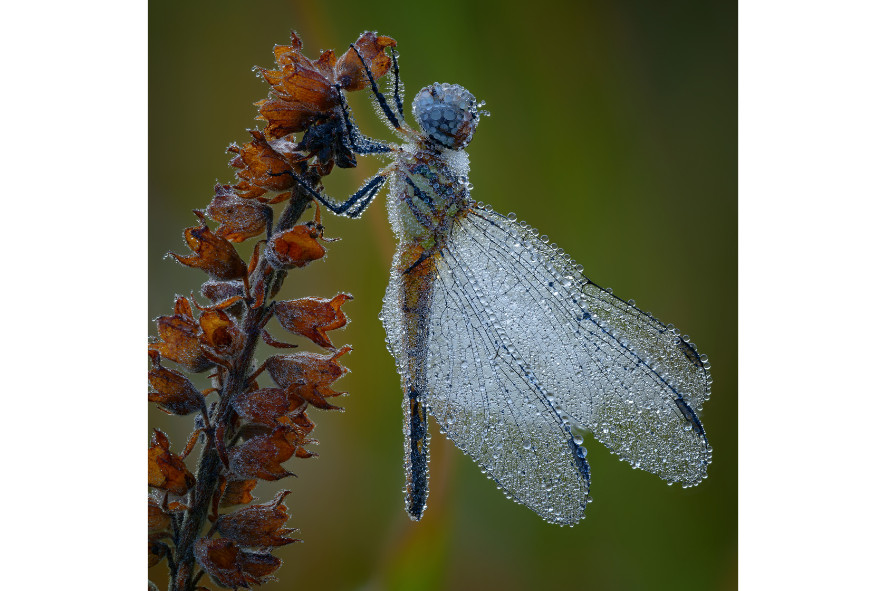 2025 Photo Contest Winners