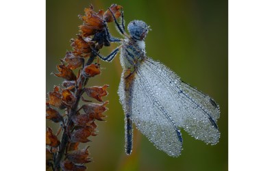2025 Photo Contest Winners