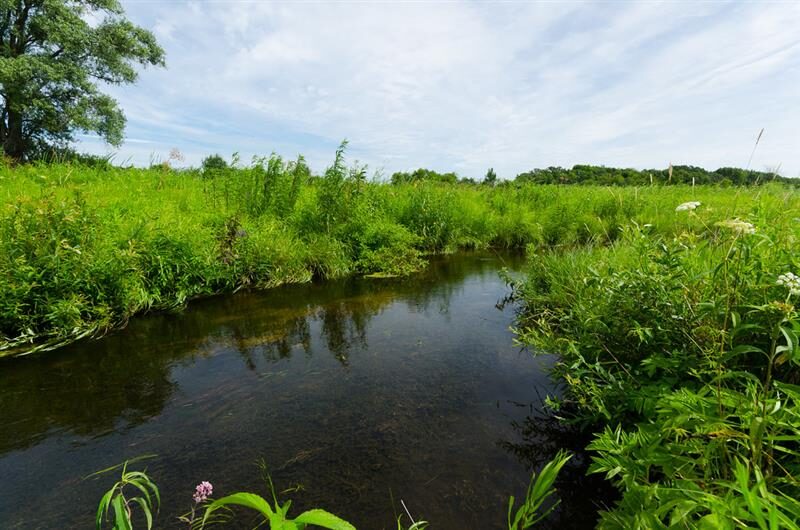 a creek cutting through grassy field