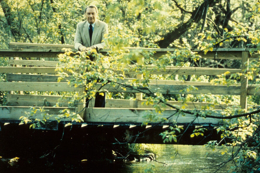 man standing on a bridge surrounded by trees