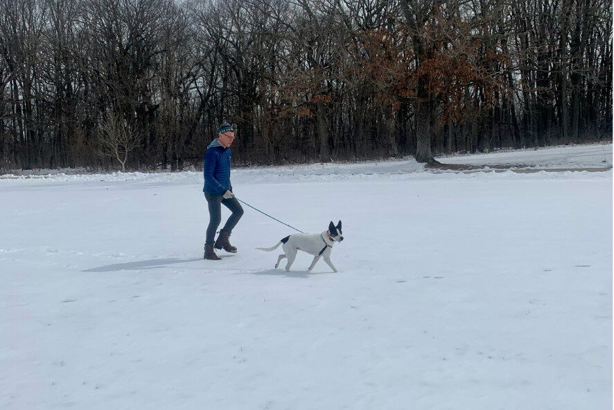 person walking a dog in the snow