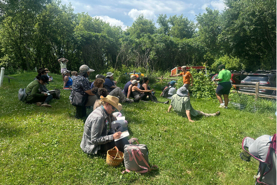 people sitting in the grass during foraging event with Color in the Outdoors