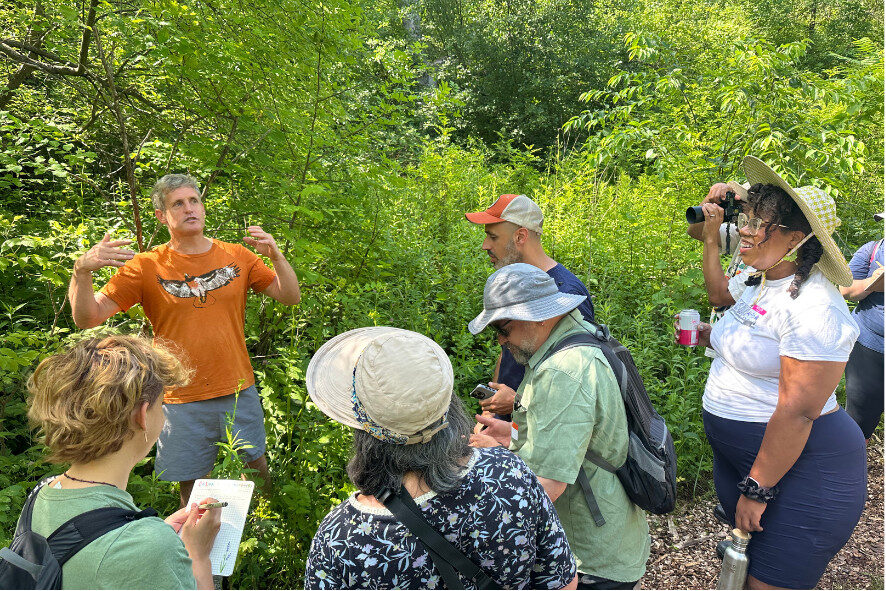 People on a hike during a foraging event with Color in the Outdoors