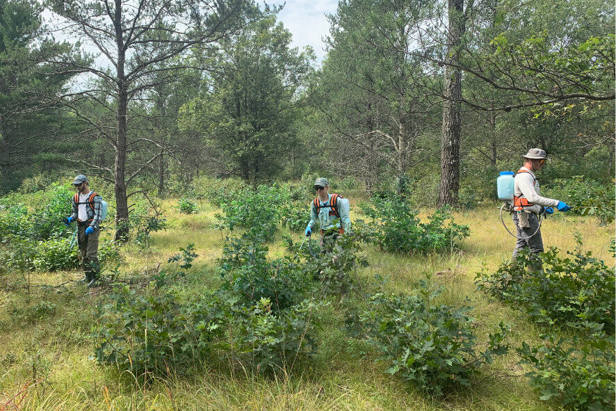 Crew members spraying herbicide at Waazija Haci