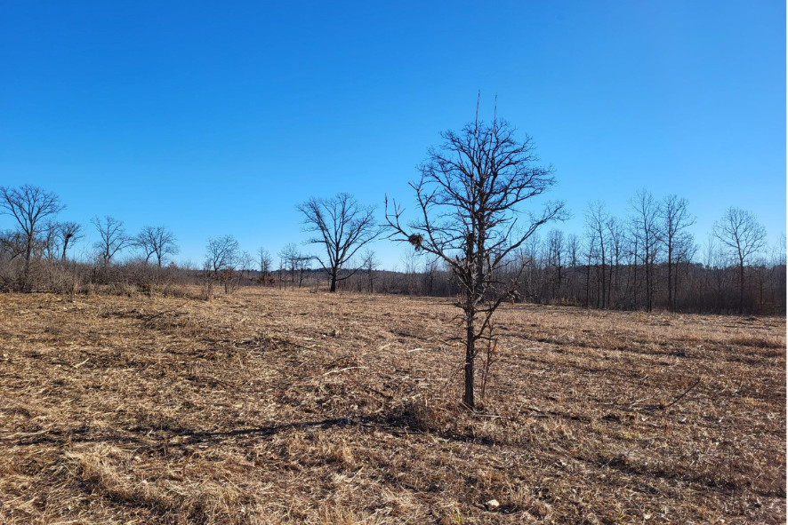 prairie during the winter under a bright blue sky