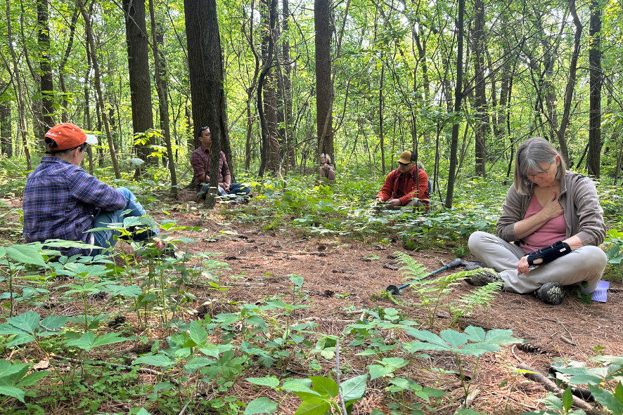 people sitting on the forest floor during a forest bathing Field Trip
