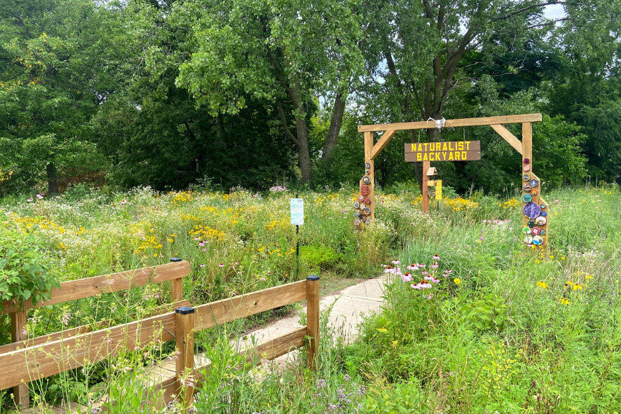 Wisconsin’s Most Unexpected State Forest
