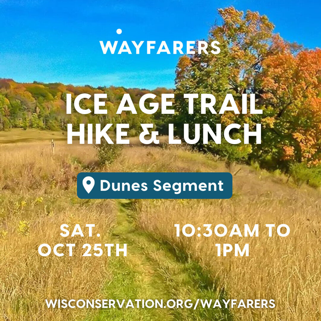 Hiking trail through a autumnal field with text that reads Wayfarers Ice Age Trail & Lunch at the Dunes Segment on Saturday, October 25th from 10:30am to 1pm WisConservation.org/Wayfarers