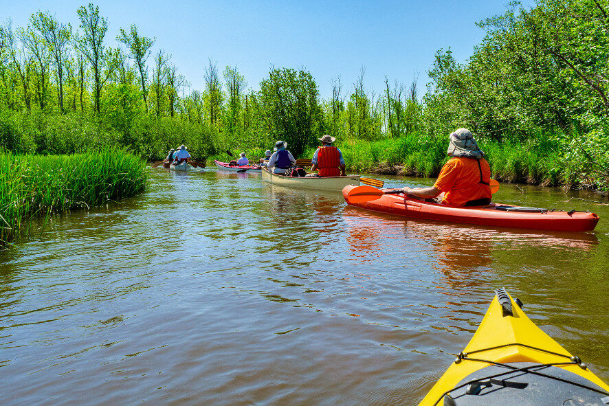 Kayakers on the White River at Bibon Swamp State Natural Area