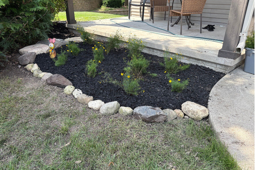 beginning stages of pollinator garden in the front yard of someone's house