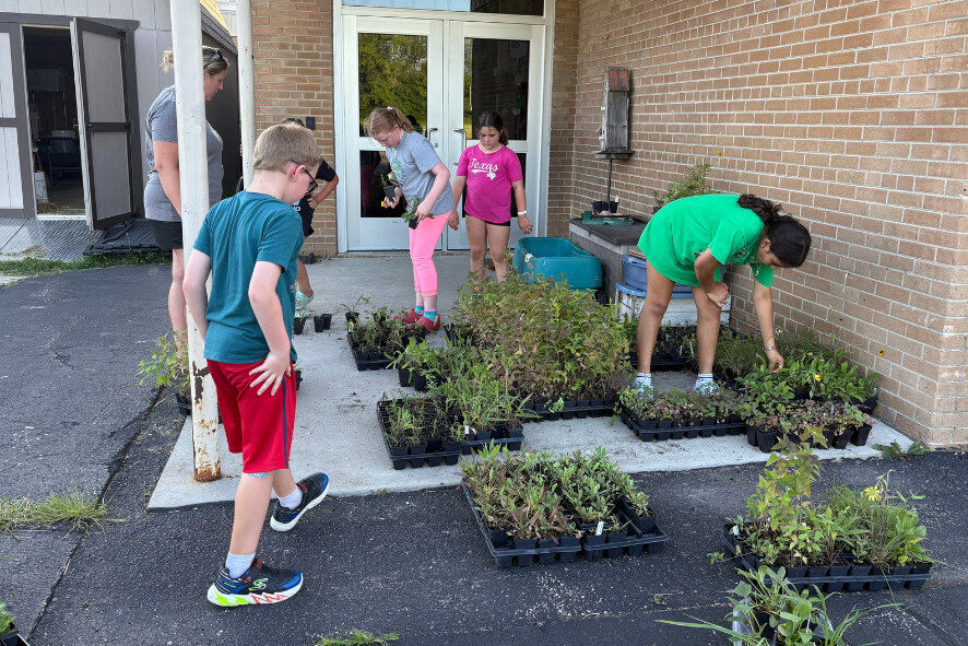 students looking through trays of plants outside a building