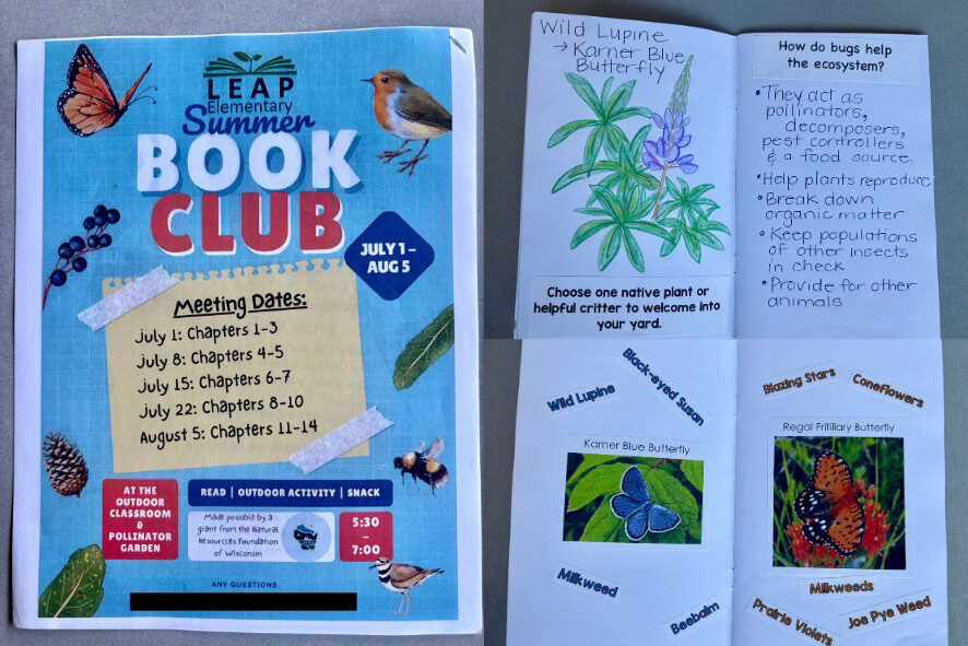 cover of a packet that reads LEAP Elementary School Book Club with meeting dates, inside of packet with drawing of a wild lupine and notes, inside of packet with pictures of karner blue butterfly and regal fritillary butterfly