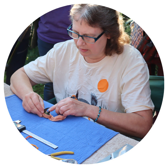 Guest Blogger