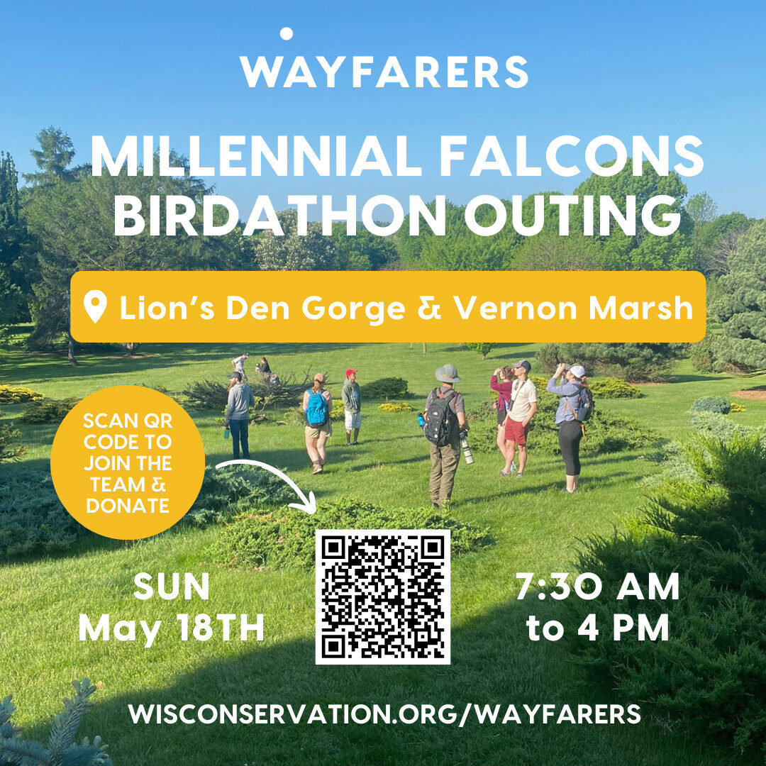people birding in a field with text that reads Wayfarers Millennial Falcons birdathon outing at lion's Den Gorge & Vernon Marsh on Sunday, May 18th from 7:30 am to 4pm scan QR code to join the team and donate WisConservation.org/Wayfarers