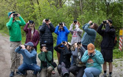 2025 Birdathon Report and Bird Protection Fund grants