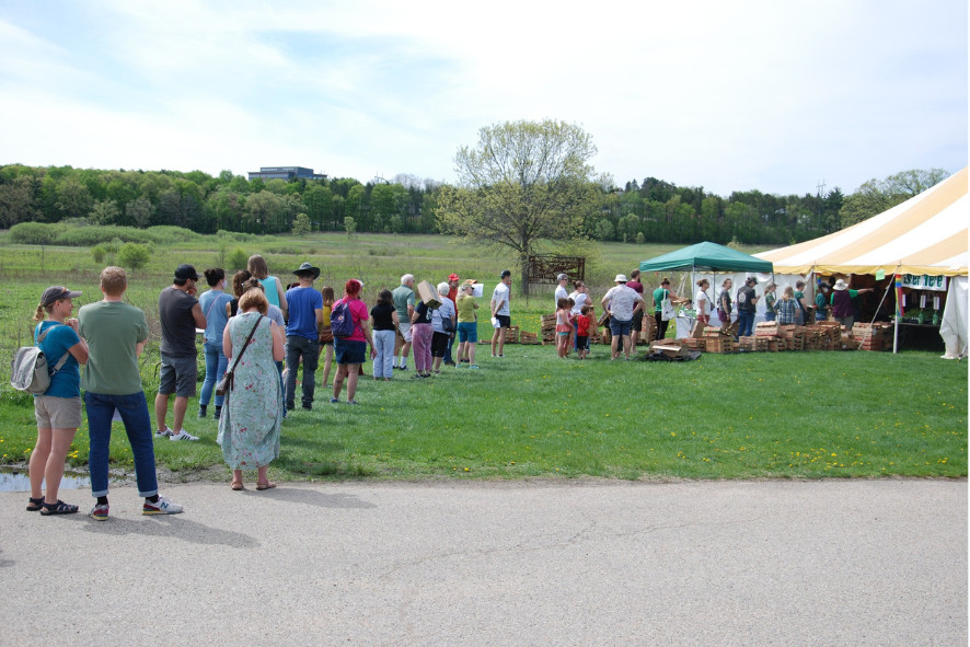 People standing in a long line outside that leads into a tent