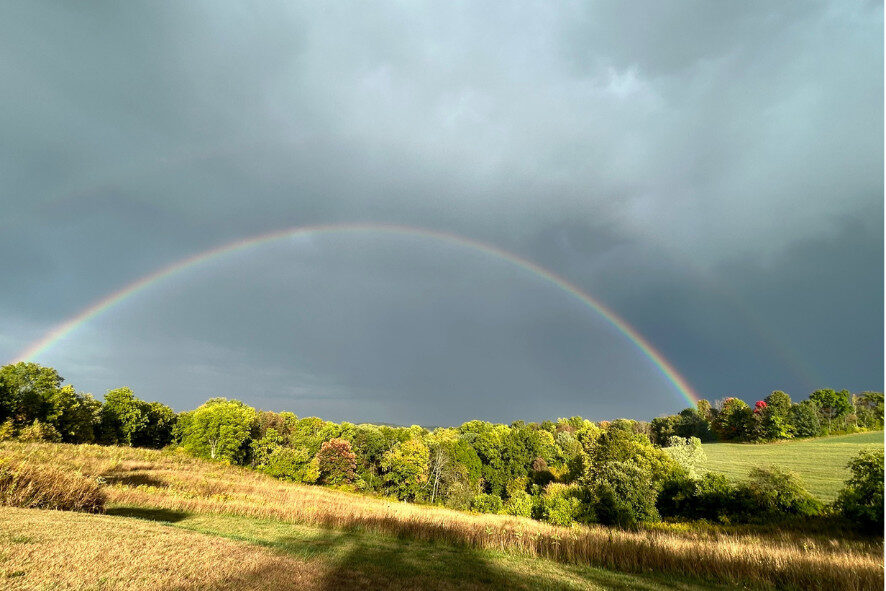 a rainbow over an open field bordered by trees in the Driftless Region