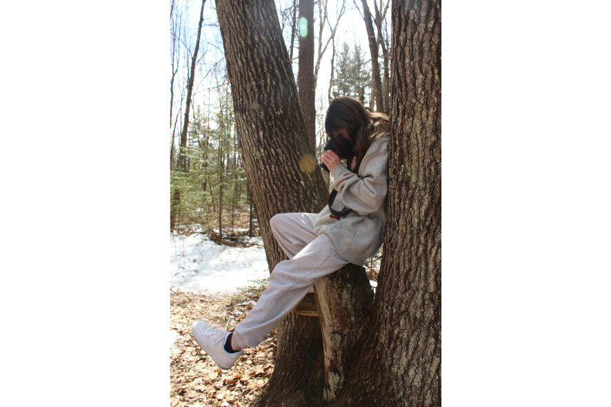Student sitting in a tree and snapping a picture