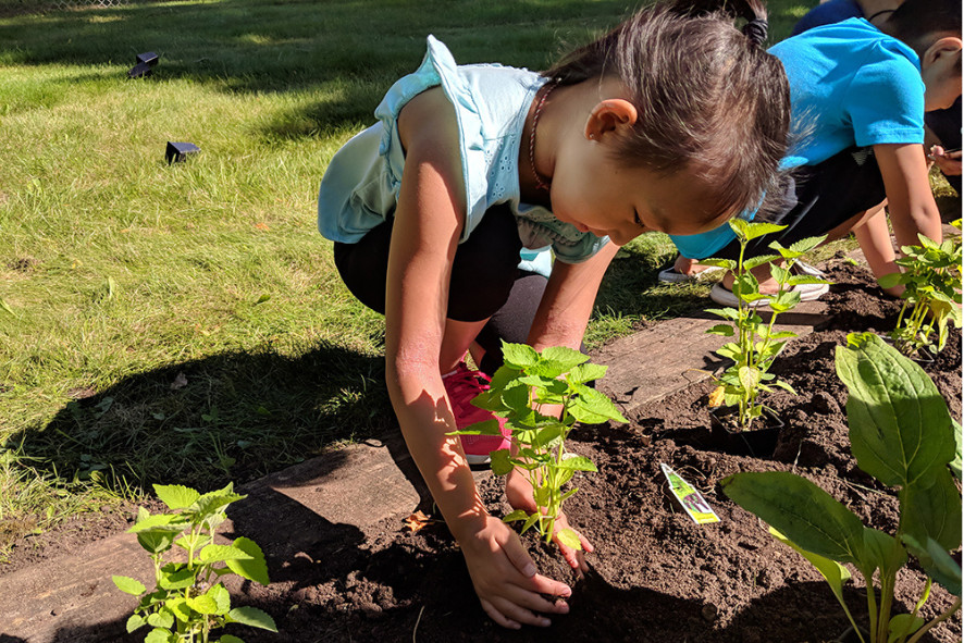 a young child planting a plant in a garden