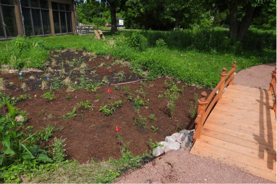 rain garden in between a building and a small bridge at Havenwoods State Forest