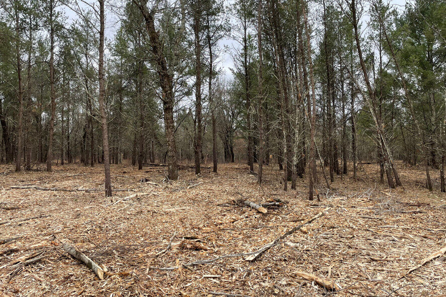 Mowed area of land at Waazija Haci SNA