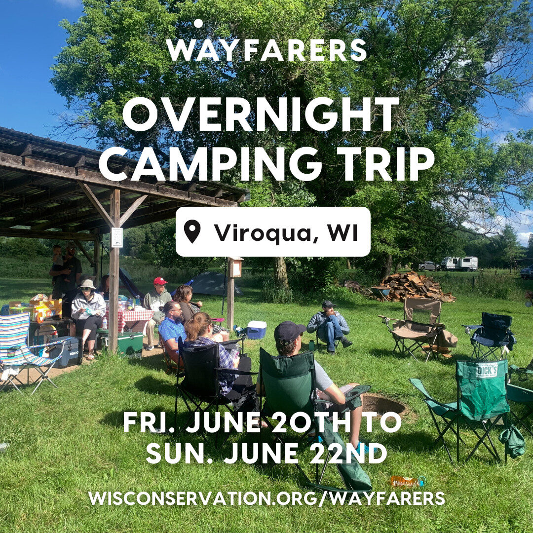 photo of peopling sitting at a campsite with text that reads Wayfarers Overnight Camping Trip in Viroqua, WI from Friday, June 20th to Sunday, June 22nd WisConservation.org