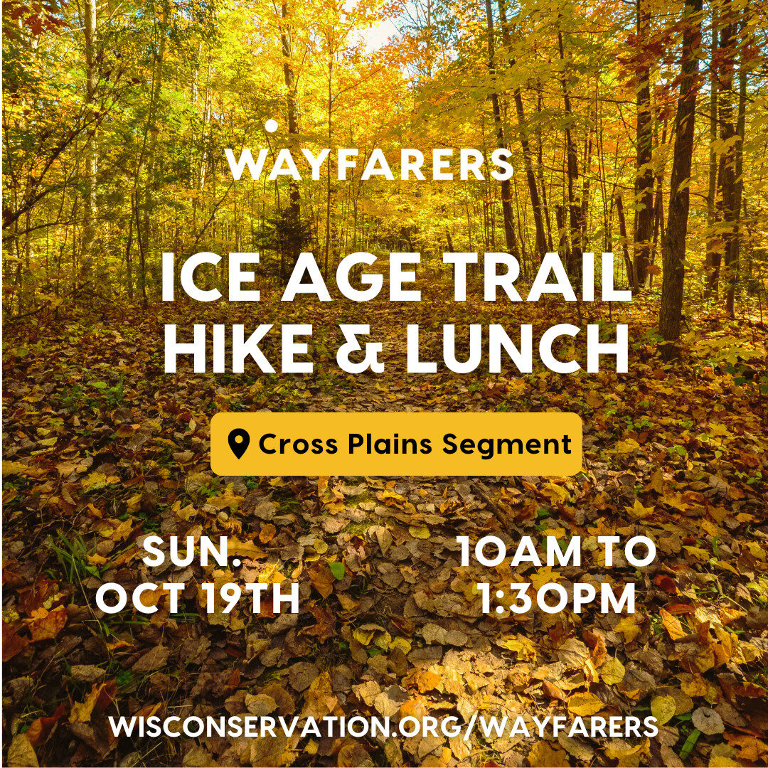 forest full of fall foliage with text that reads Wayfarers Ice Age Trail hike & lunch at the Cross Plains Segment on Sunday, October 19th from 10am to 1:30pm WisConservation.org/Wayfarers