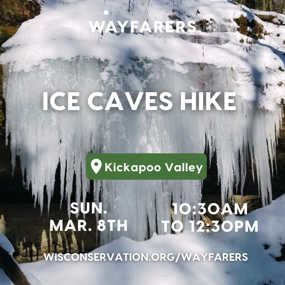 Entrance to a cave blocked by hanging icicles with text that reads Wayfarers Ice Caves Hike in the Kickapoo Valley on Sunday, March 8th from 10:30am to 12:30pm WisConservation.org/Wayfarers