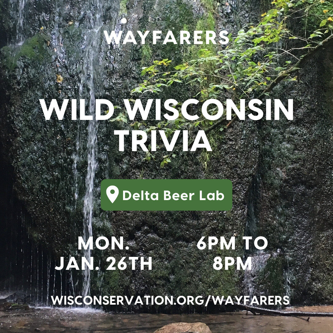 Background image of waterfall with text that reads Wayfarers Wild Wisconsin Trivia at Delta Beer Lab on Monday, January 26th from 6pm to 8pm WisConservation.org/Wayfarers