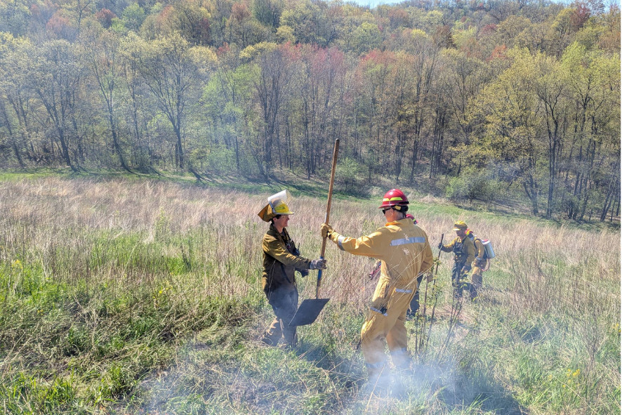 people standing in a field during a prescribed burn