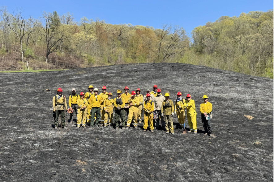 group of people standing in a recently burned area of land