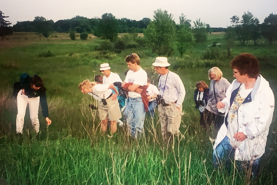 People looking at plants in a field at Havenwoods State Forest