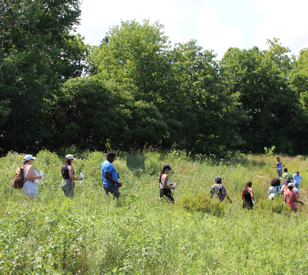 Welcoming the 2024 Diversity in Conservation Internship Cohort