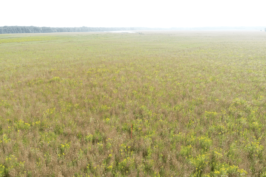 Grassland Point on Oneida reservation