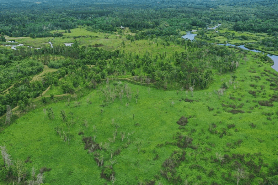 Aerial shot of bright green restored prairie and trees with a river running along the right frame of the image
