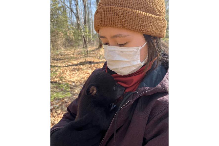 person holding a black bear cub