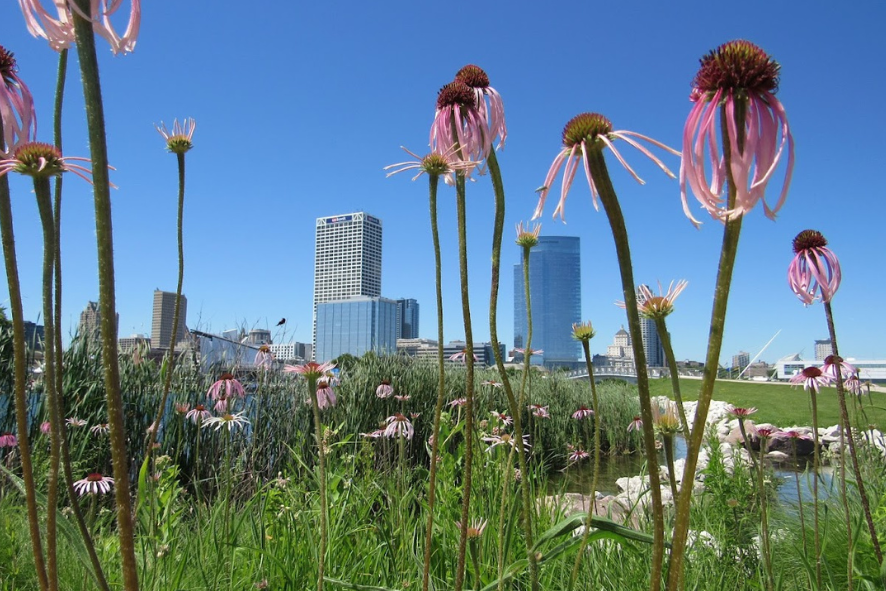 Field Trips in Wisconsin’s Urban Nature Gem